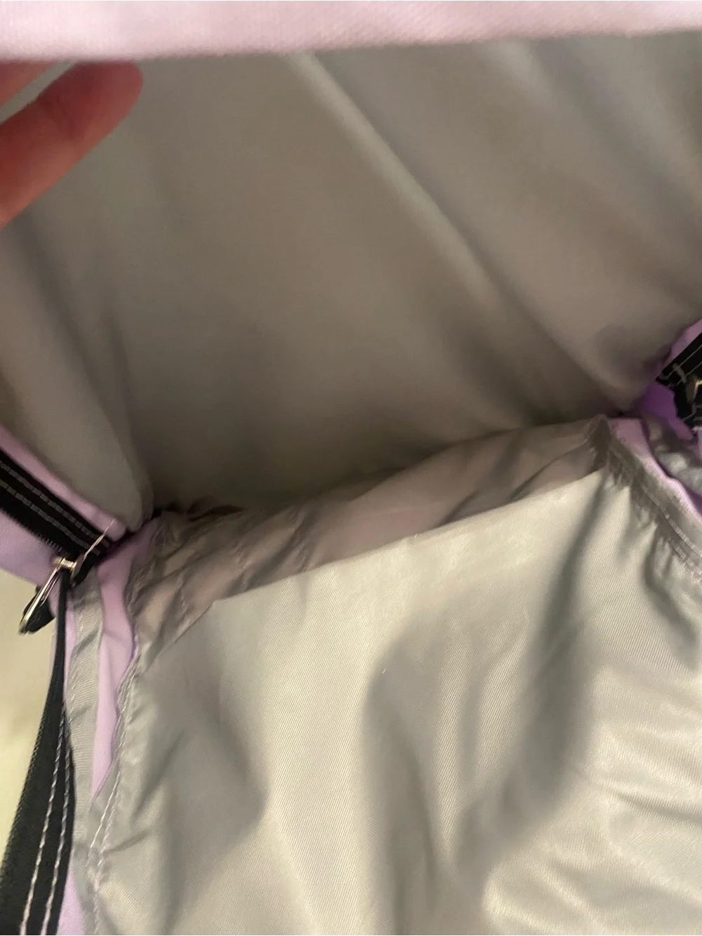 Jansport Lavender Backpack